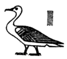 goose