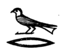 swallow